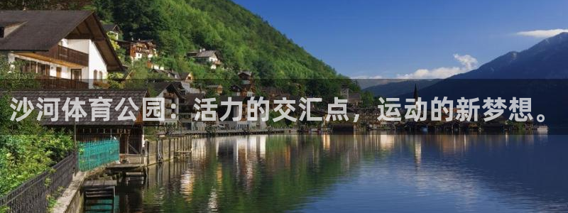沙河体育公园：活力的交汇点，运动的新梦想。