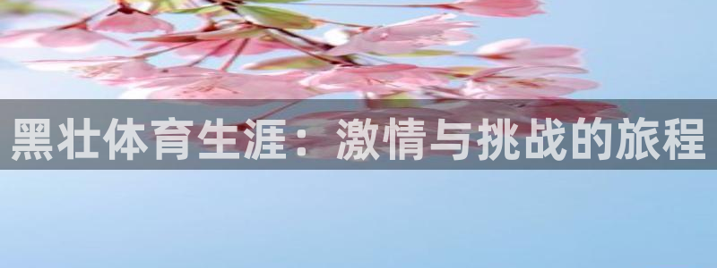 黑壮体育生涯：激情与挑战的旅程