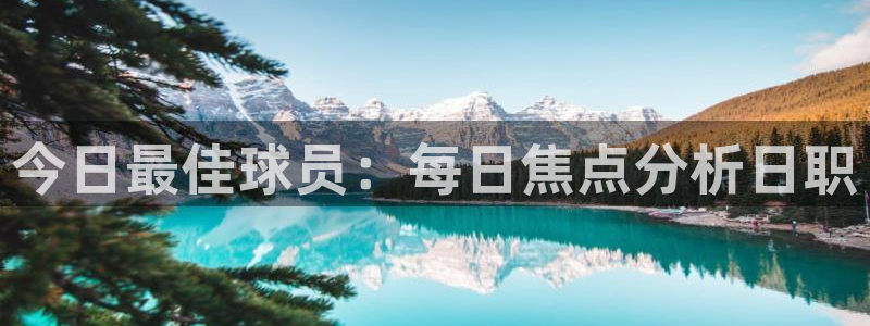 今日最佳球员：每日焦点分析日职