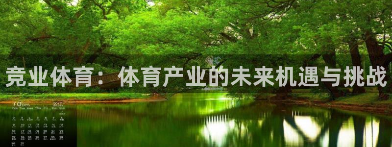 竞业体育：体育产业的未来机遇与挑战