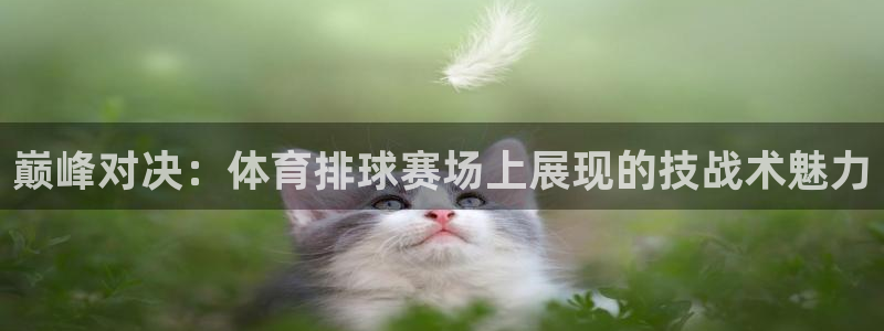 巅峰对决：体育排球赛场上展现的技战术魅力