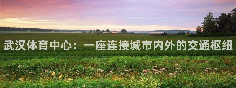 武汉体育中心：一座连接城市内外的交通枢纽