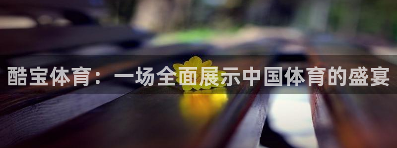 酷宝体育：一场全面展示中国体育的盛宴